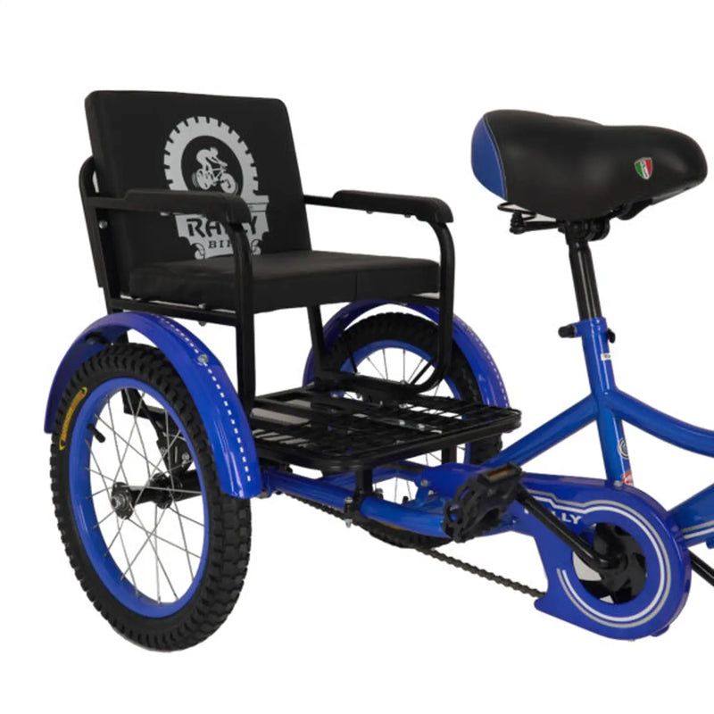 Rally Double Seat Sofa Tricycle 16 Inch - Children's Tricycle