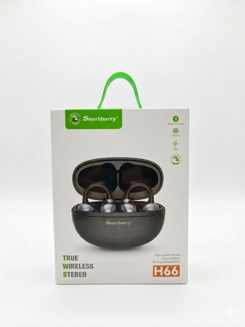 Smartbarry H66 True Wireless Stereo Earbuds