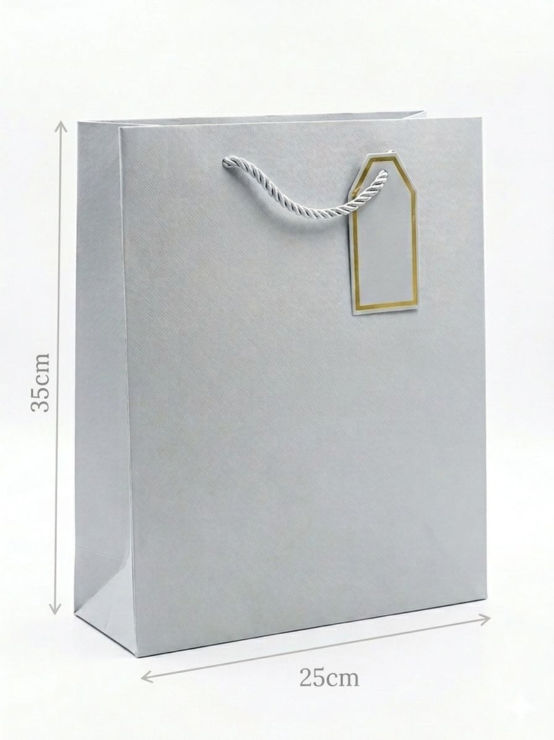 Silver Gift Bag with Rope Handle 25x35cm